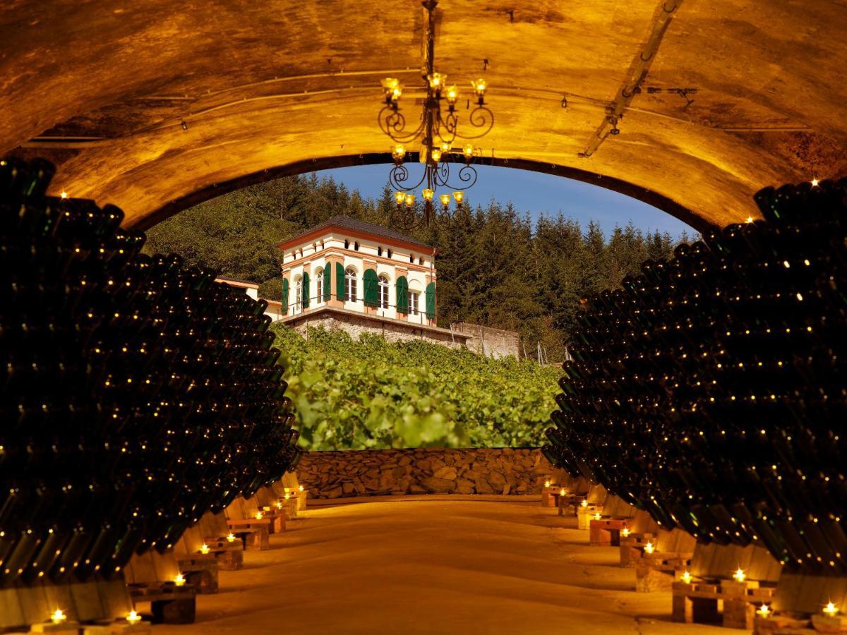 Weinromantikhotel Richtershof 뮐하임 안 데어 모젤 외부 사진