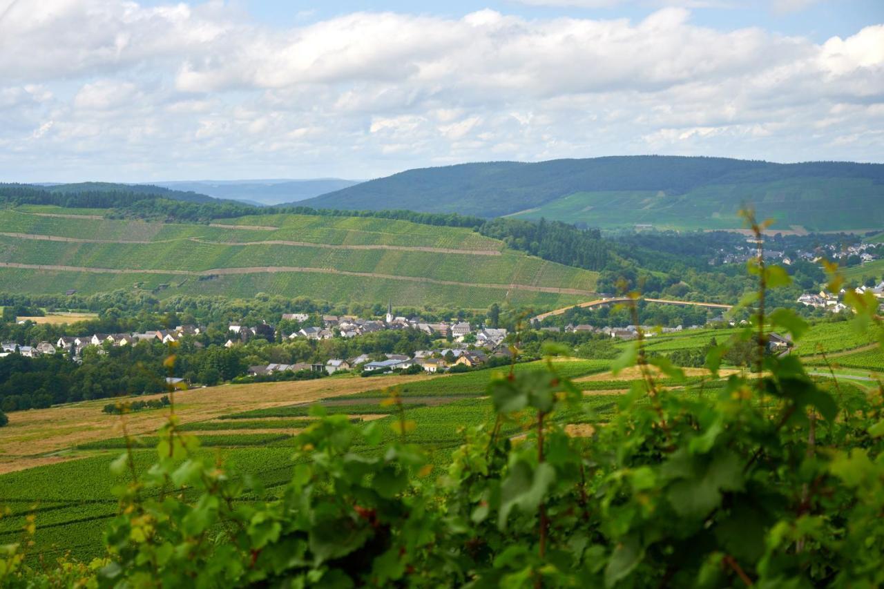 Weinromantikhotel Richtershof 뮐하임 안 데어 모젤 외부 사진