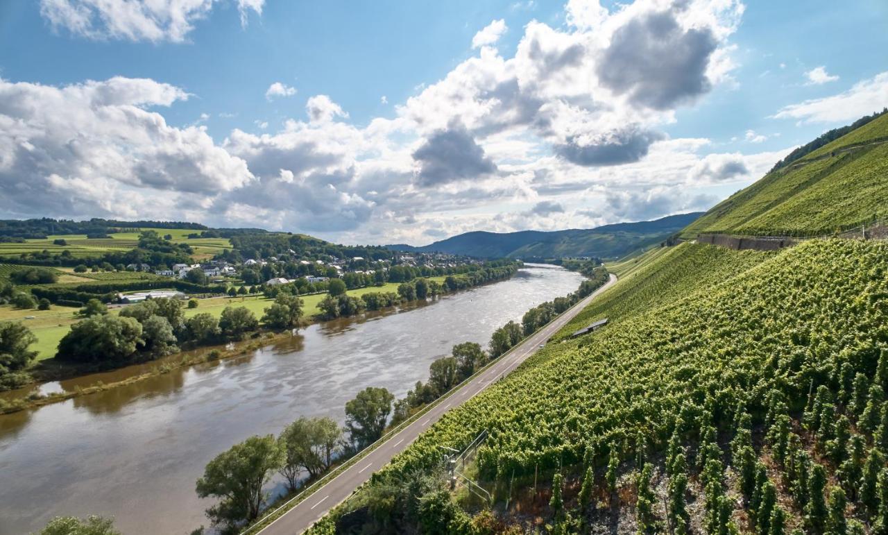 Weinromantikhotel Richtershof 뮐하임 안 데어 모젤 외부 사진